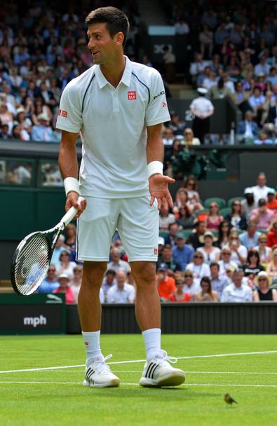 Fuoriprogramma inatteso per Nole Djokovic, vincitore uscente e - come da tradizione - impegnato nel match d&#39;esordio sul Center Court contro il tedesco Kohlschreiber
